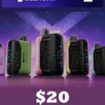 Store – gallery image 8