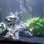 Store – gallery image 10