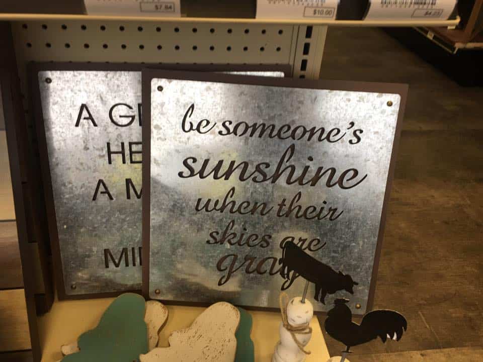 Store – gallery image 8