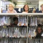 Store – gallery image 10