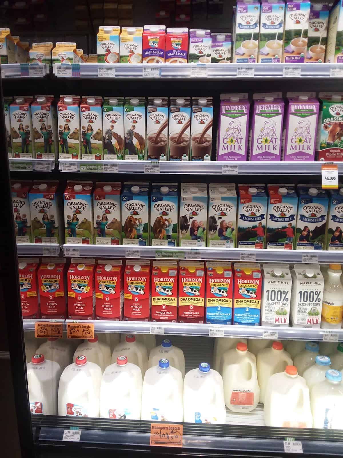 Store – gallery image 6