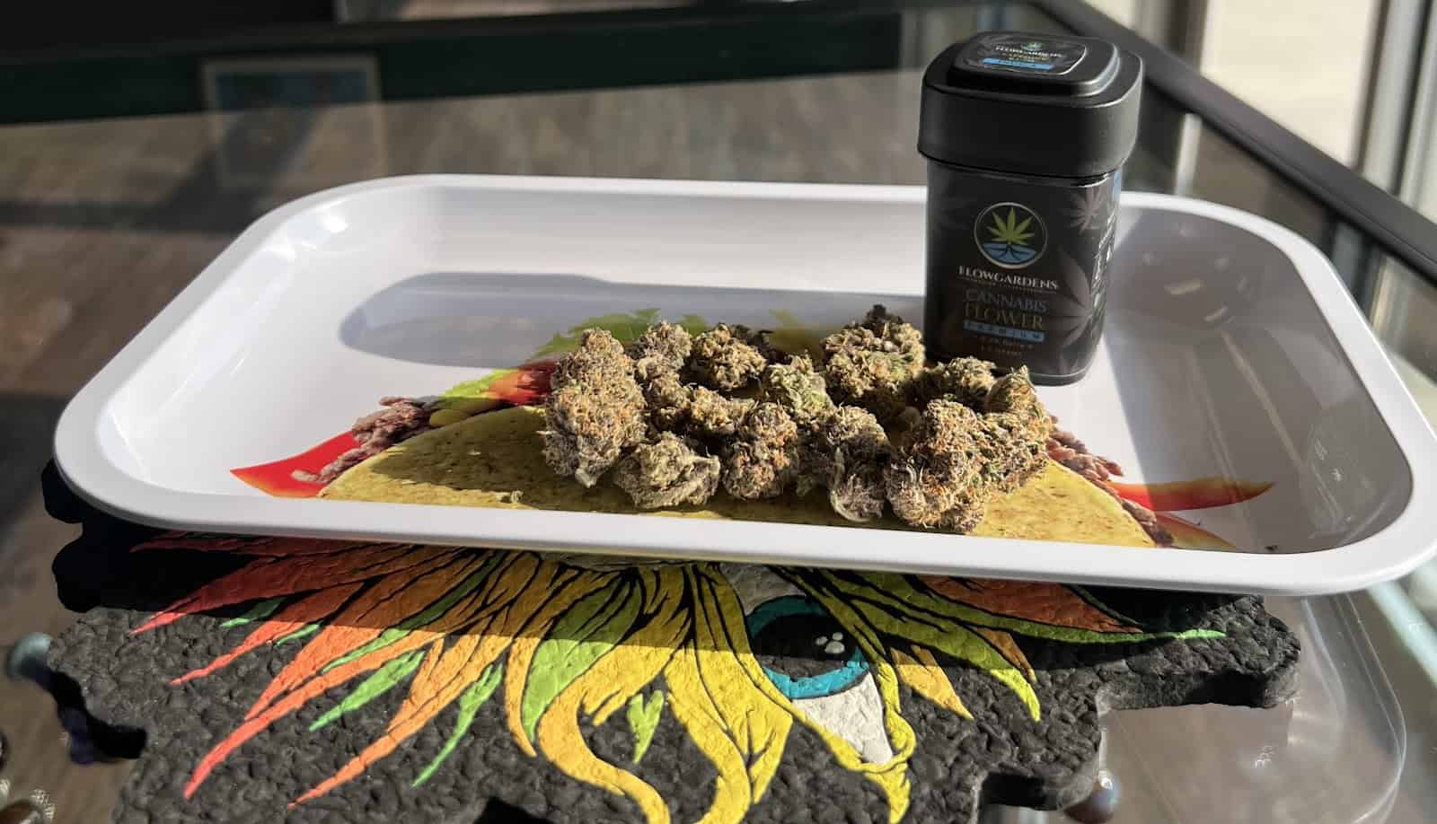 Store – gallery image 4