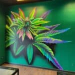 Store – gallery image 5