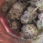 Store – gallery image 7