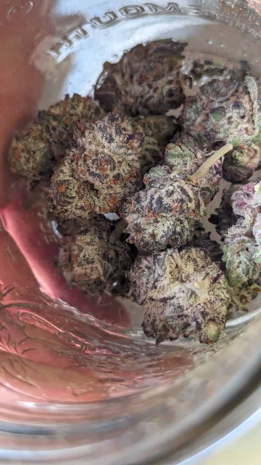 Store – gallery image 7