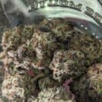 Store – gallery image 8