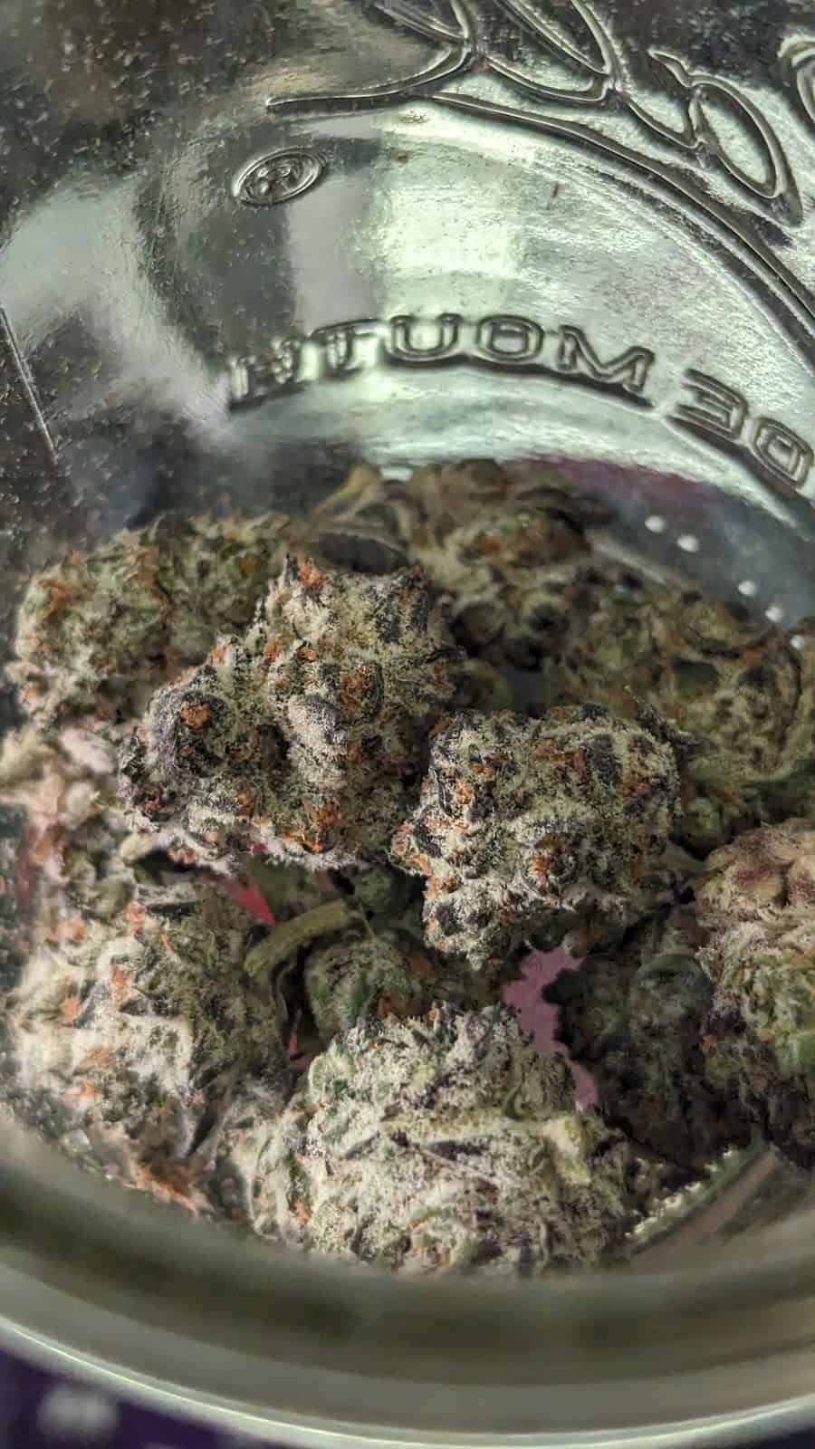 Store – gallery image 8