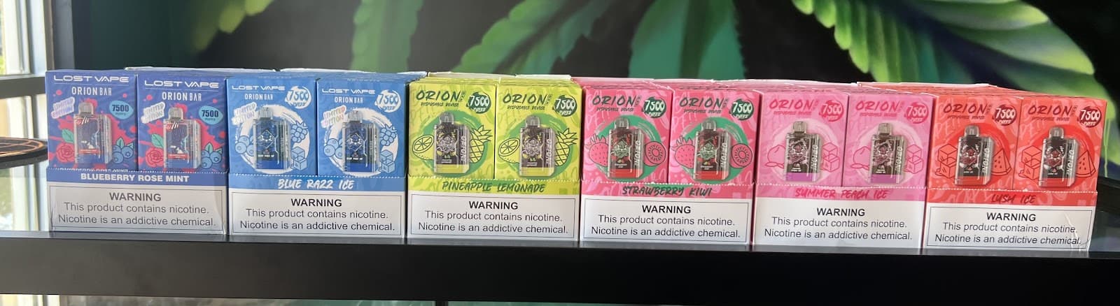 Store – gallery image 10