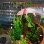 Store – gallery image 4