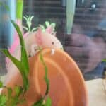 Store – gallery image 7