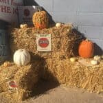 Store – gallery image 4