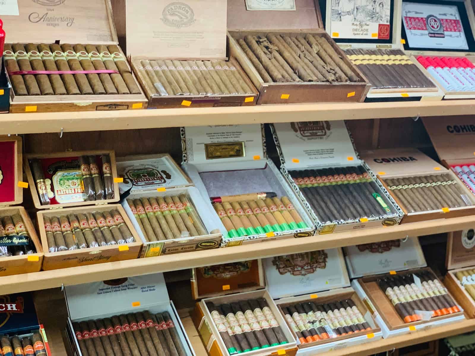 Store – gallery image 3