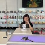 CandE-Cloud Vapes – gallery image 7