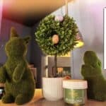 Store – gallery image 4