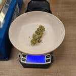 CBD Plus USA | Grapevine – Grapevine, TX | Cannabis Shop – gallery image 5