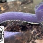 Artisan Vapor Smoke Shop Keller | 900 South Main Street, Keller, Texas | Cannabis Shop – gallery image 9