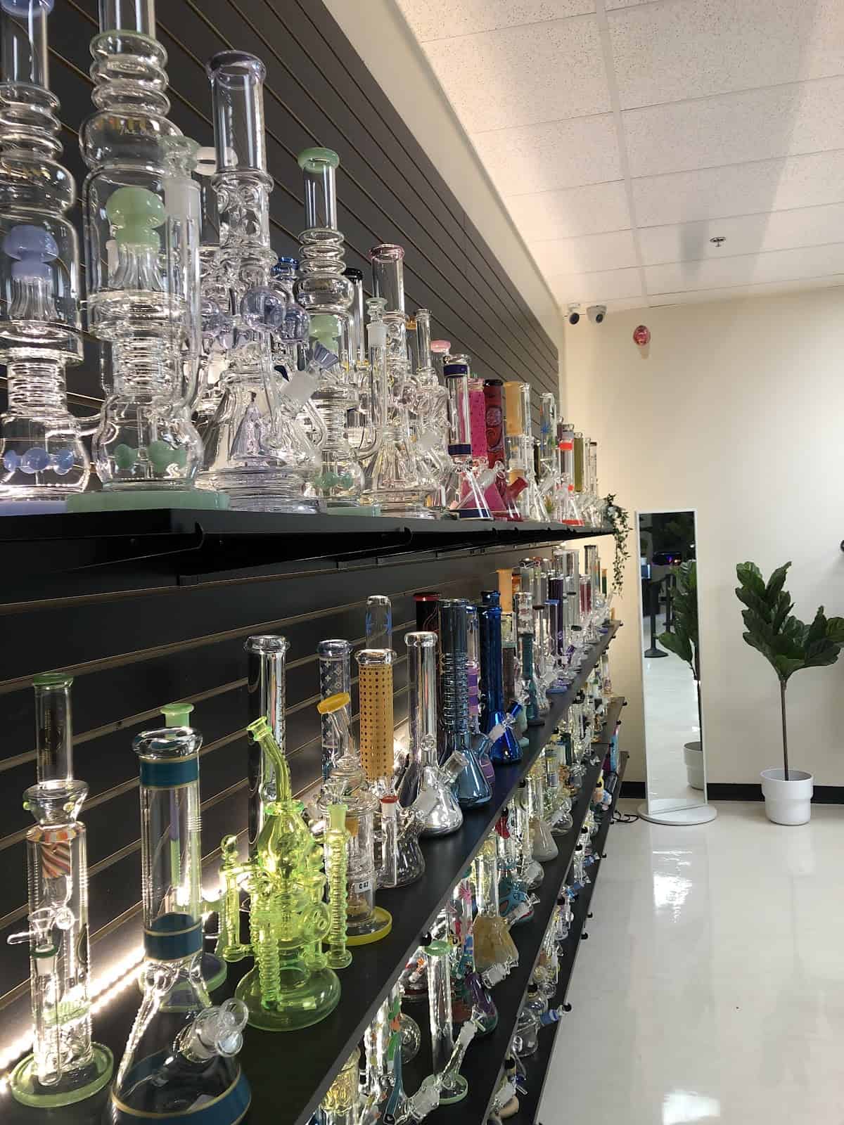 Store – gallery image 3