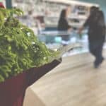 CBD Pros USA Arlington, TX | 5005 South Cooper Street, Arlington, Texas | Cannabis Shop – gallery image 4