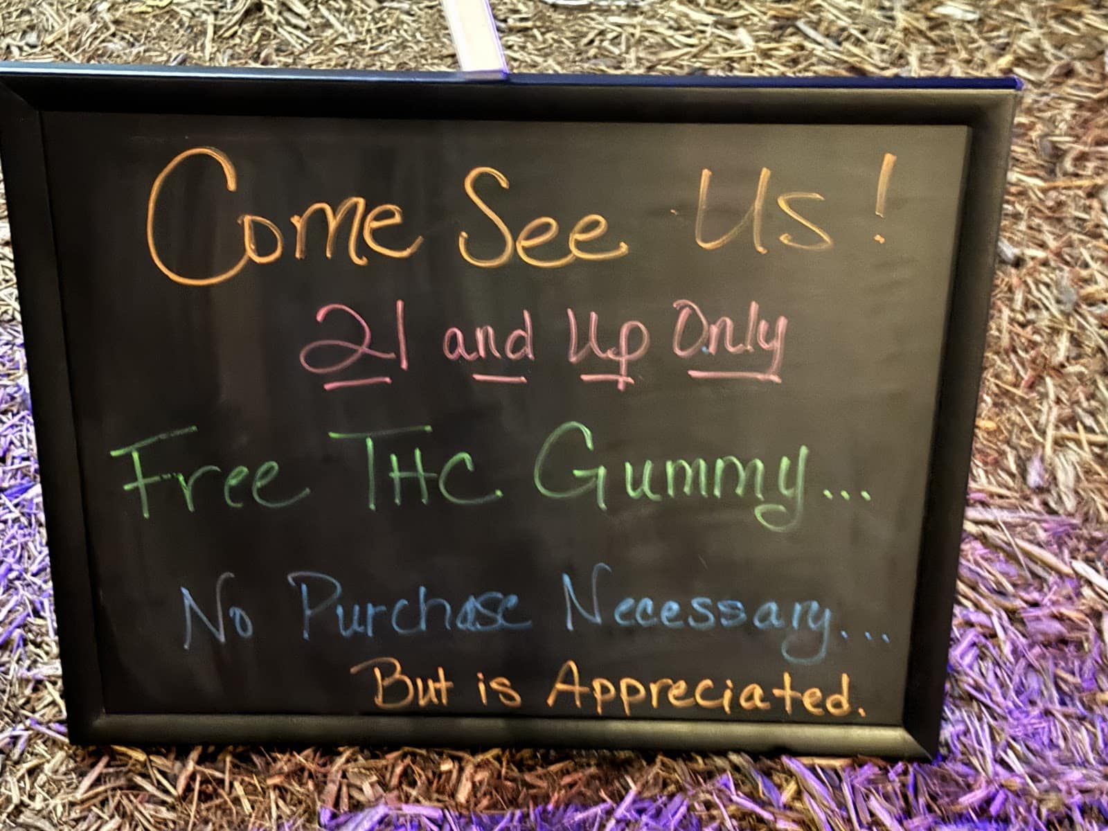 Store – gallery image 10