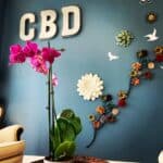 CBD American Shaman Corinth, TX | 7650 Interstate 35E, Corinth, Texas | Cannabis Shop – gallery image 10