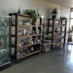 CBD Kratom Plano – Plano, TX | Cannabis Shop – gallery image 7