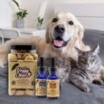 CBD American Shaman of Addison Addison, TX | 4145 Belt Line Road, Addison, Texas | Cannabis Shop – gallery image 7