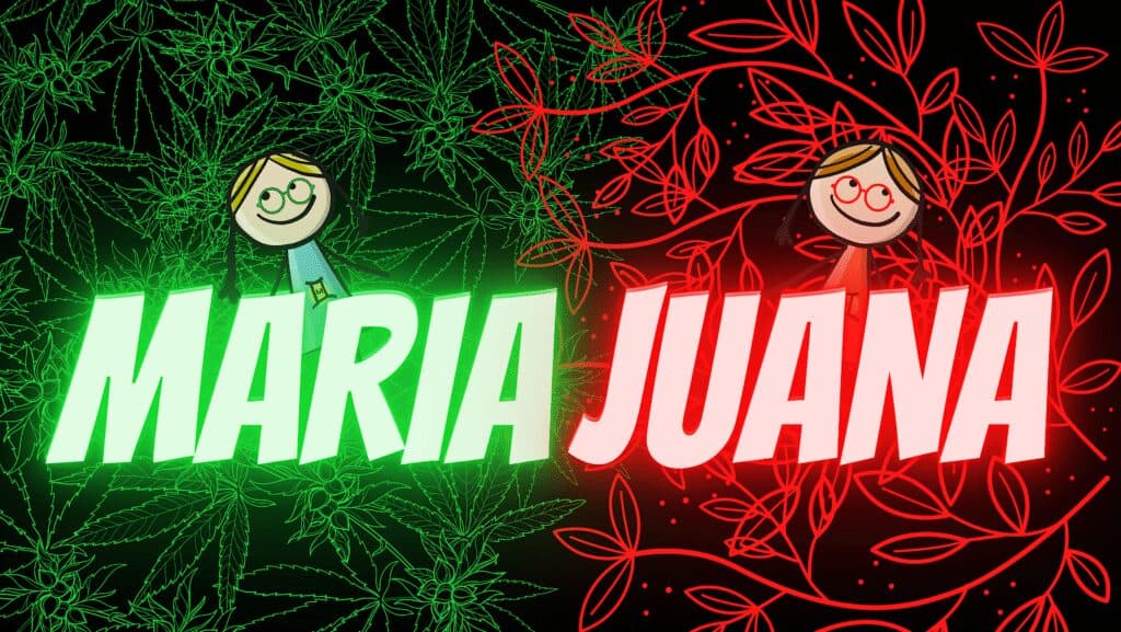 Maria Juana Store – main photo