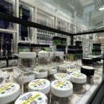 Bahama Mama McKinney | Smoke CBD Vape – Mckinney, TX | Cannabis Shop – gallery image 3