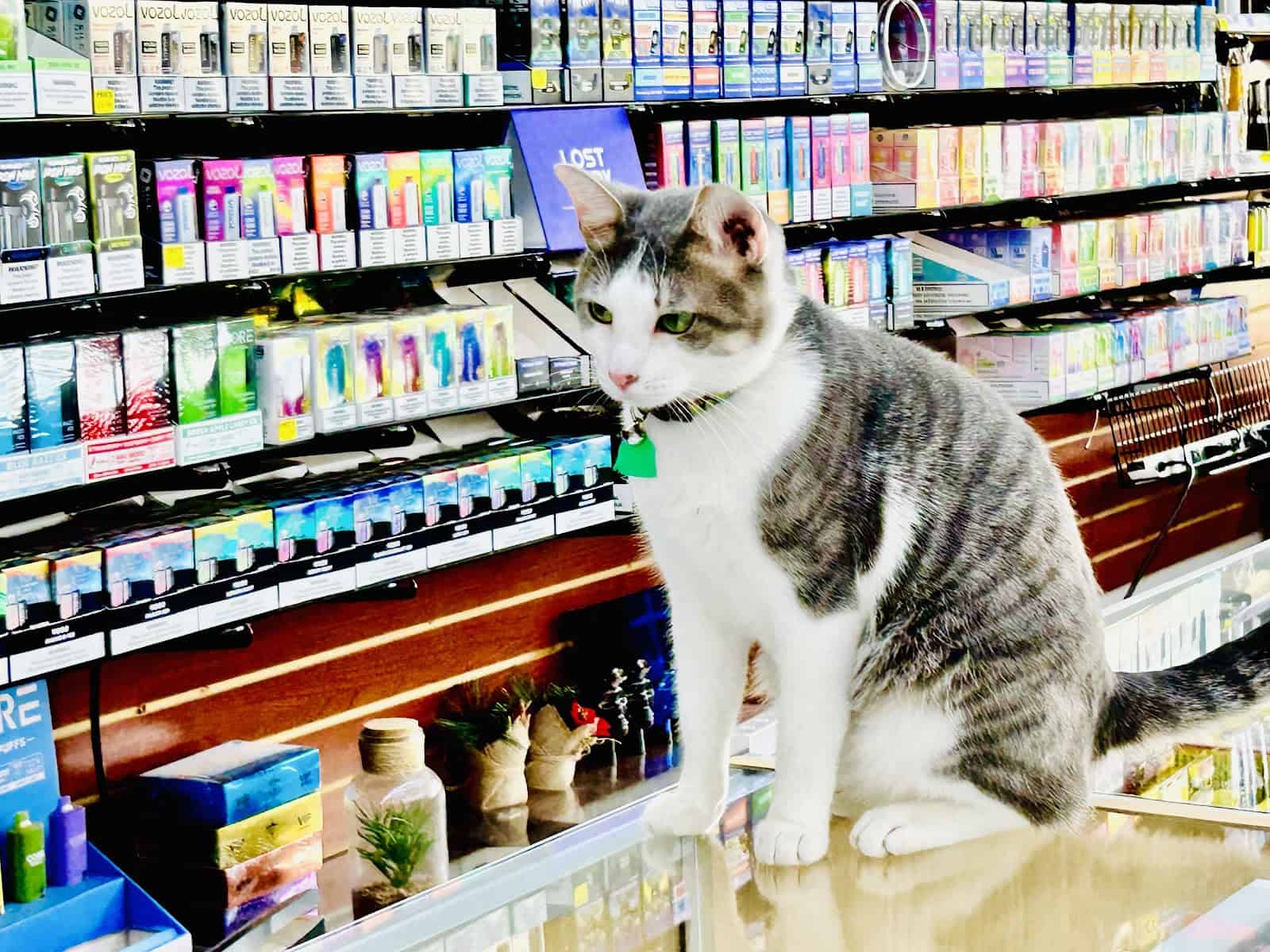 Store – gallery image 2