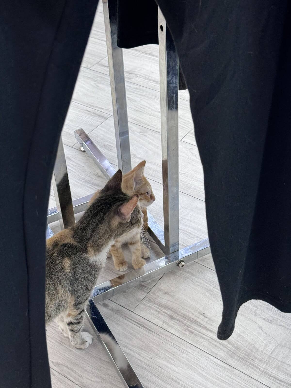 Store – gallery image 3