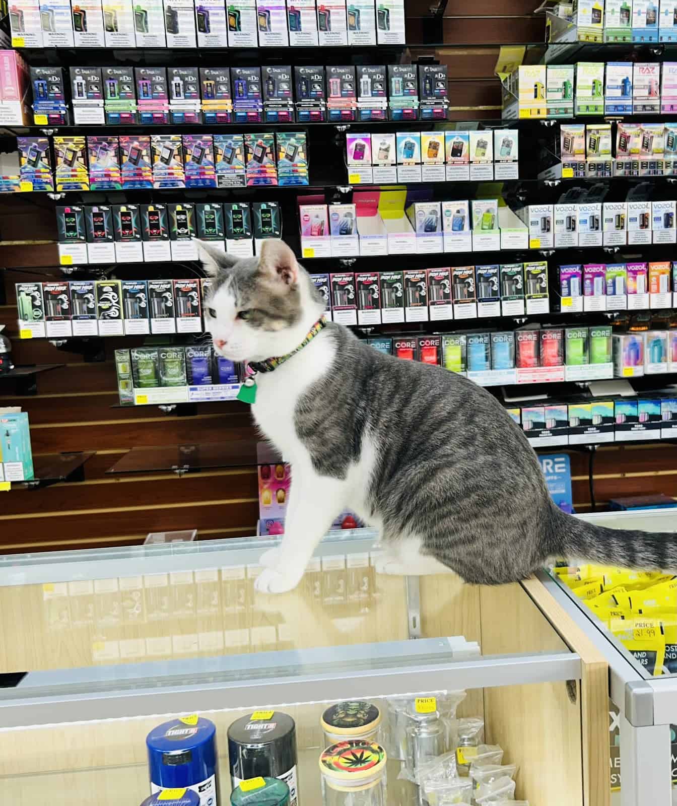 Store – gallery image 5