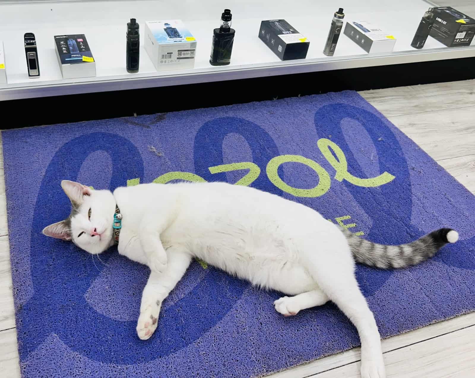 Store – gallery image 6