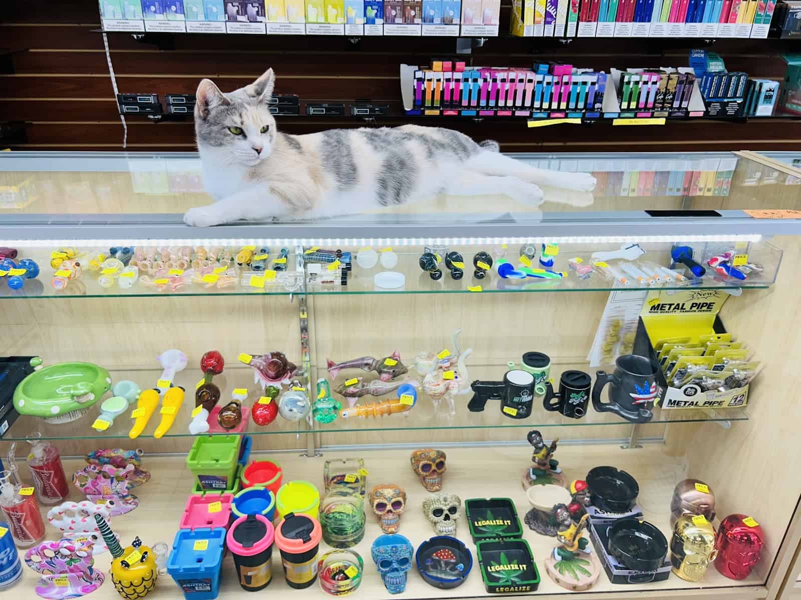 Store – gallery image 7