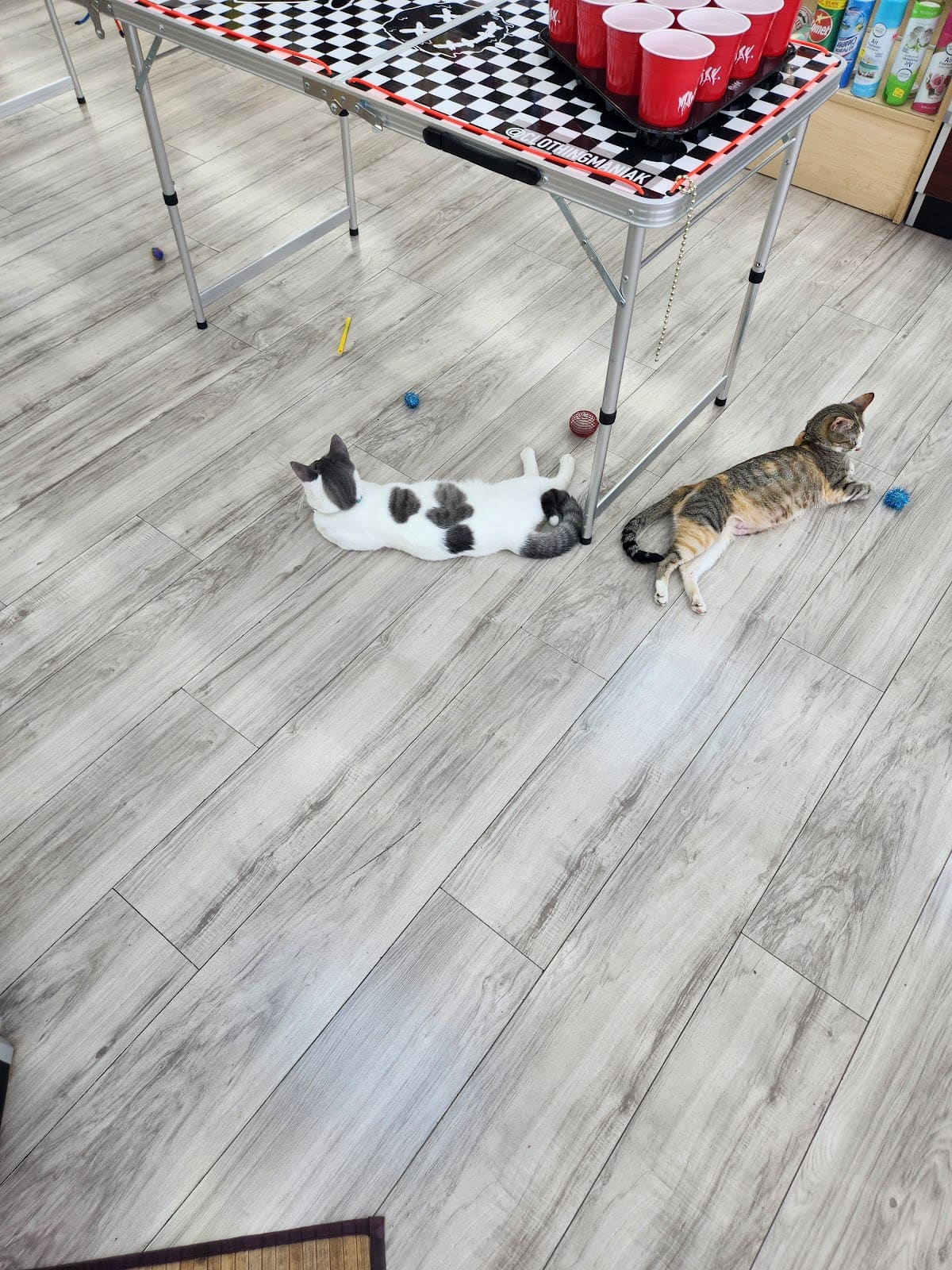 Store – gallery image 8