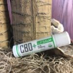 CBD + Cedar Park, TX | 2403 South Bell Boulevard, Cedar Park, Texas | Cannabis Shop – gallery image 4