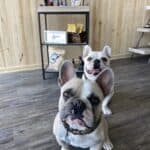 CBD Lakeway – Lakeway, TX | Cannabis Shop – gallery image 3