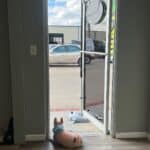 Chillax CBD – Pflugerville, TX | Cannabis Shop – gallery image 5