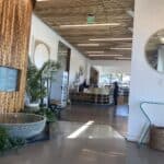 Alive and Well – gallery image 3