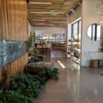 Alive and Well – gallery image 4