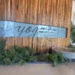 Alive and Well – gallery image 7