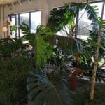 Alive and Well – gallery image 8