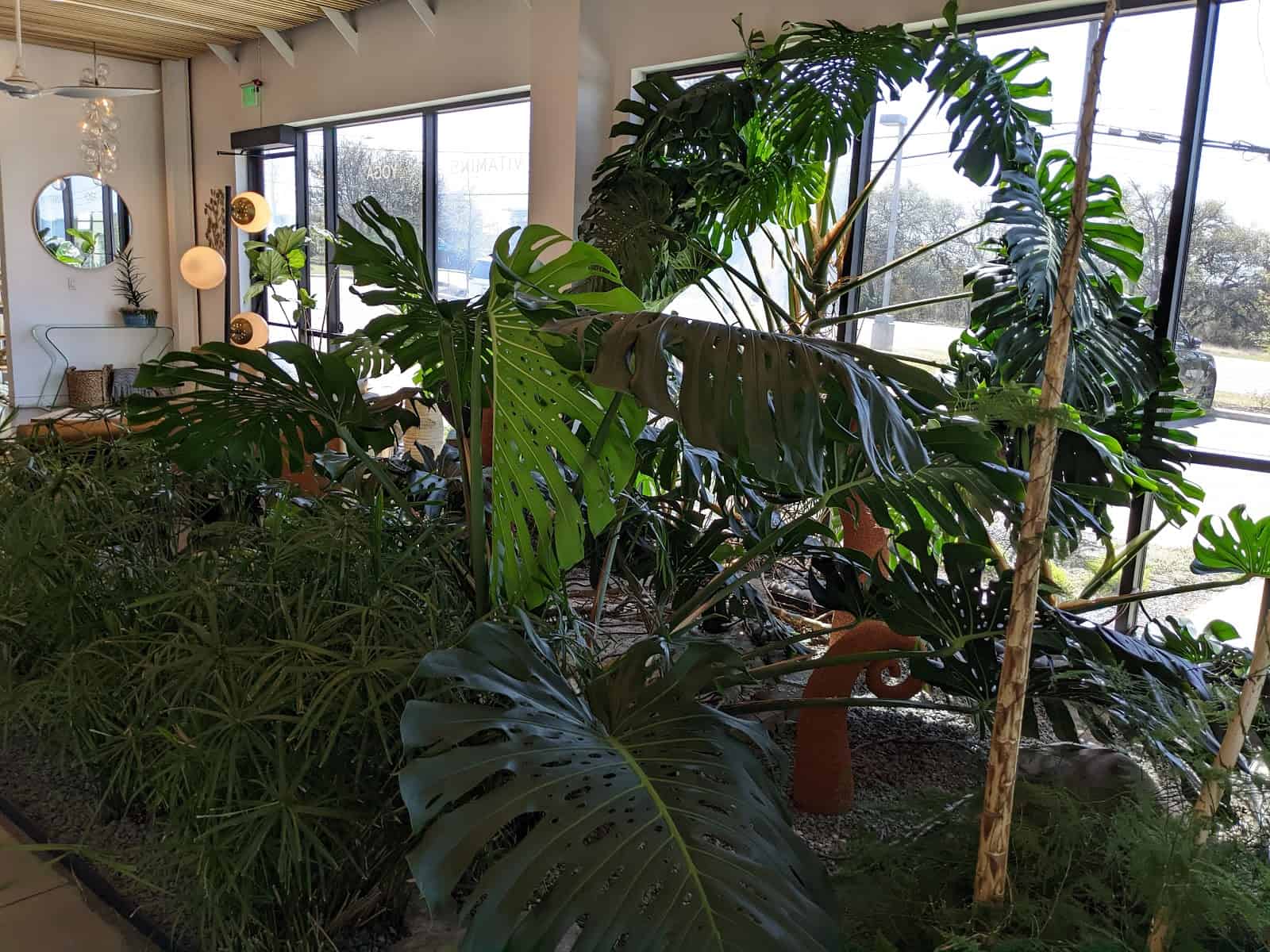 Store – gallery image 8