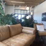 Alive and Well – gallery image 9