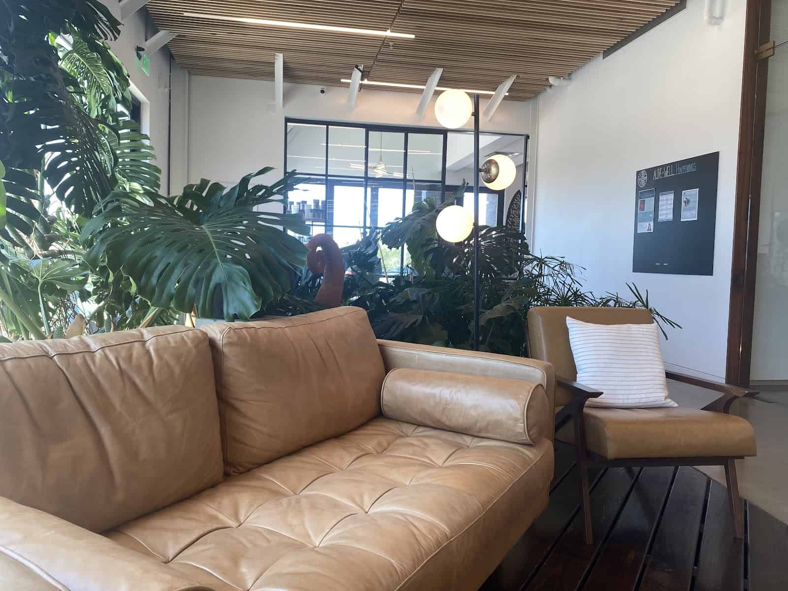 Store – gallery image 9