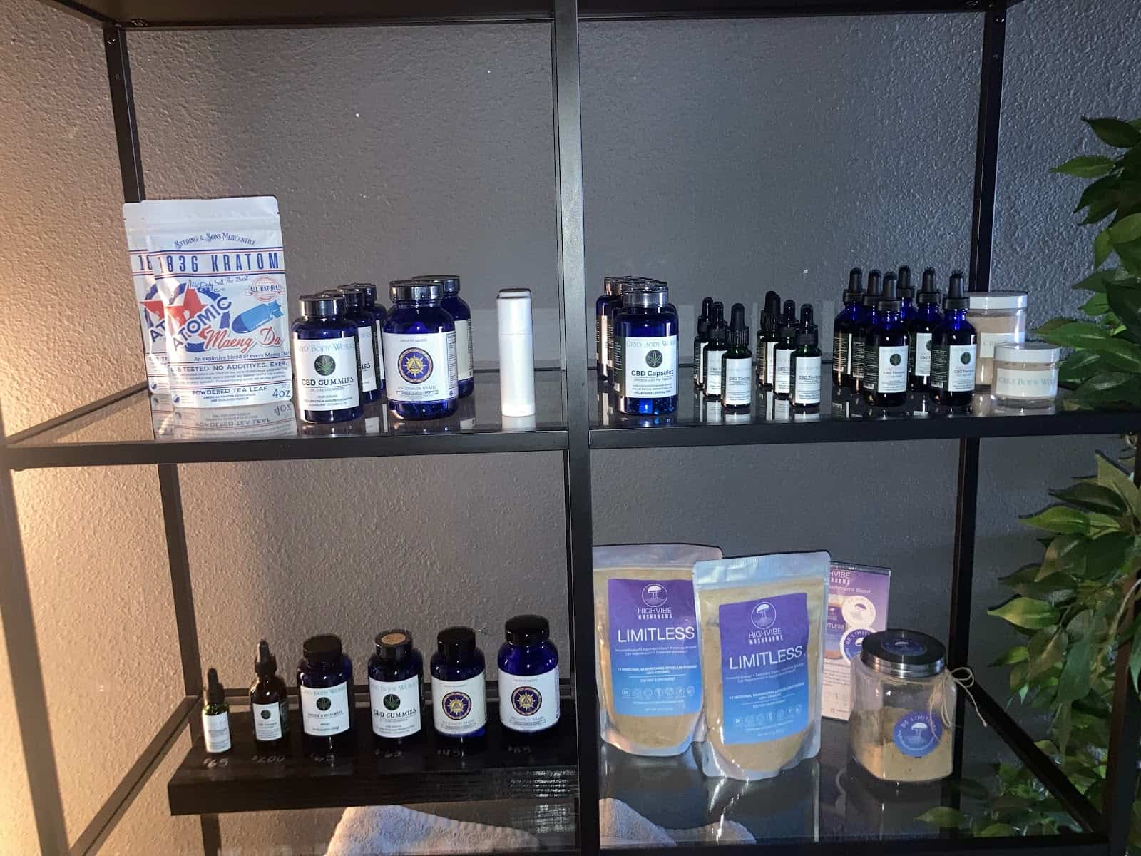 Gallery Image 5