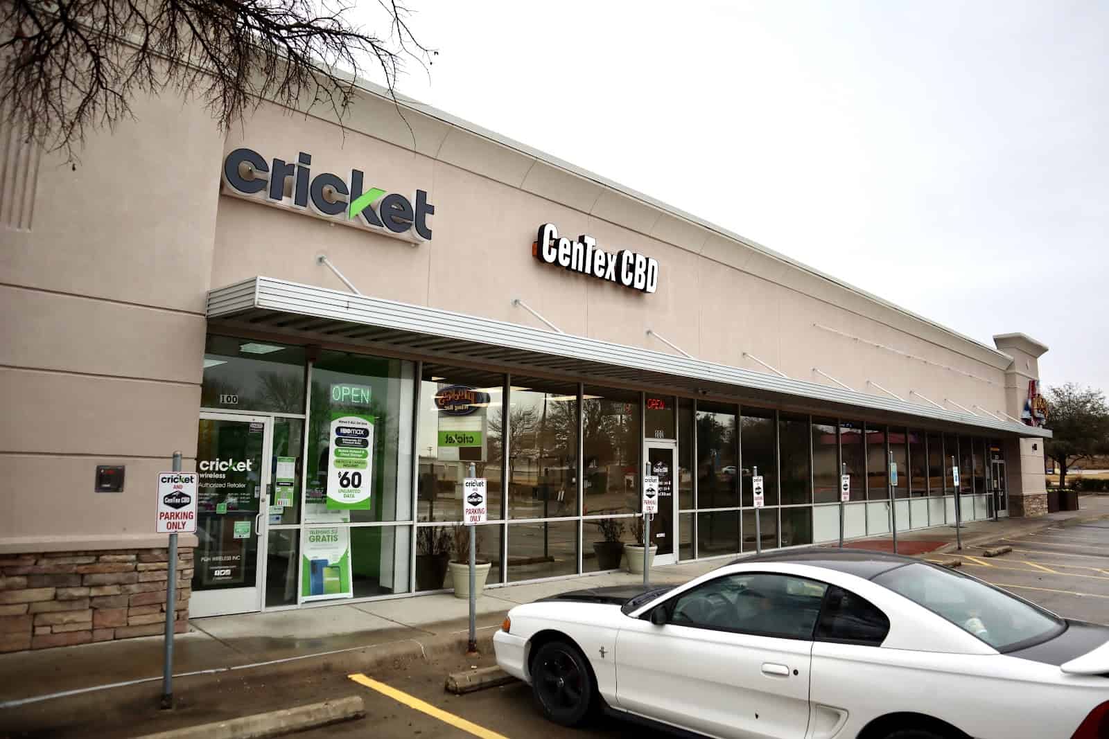 Main Store Image