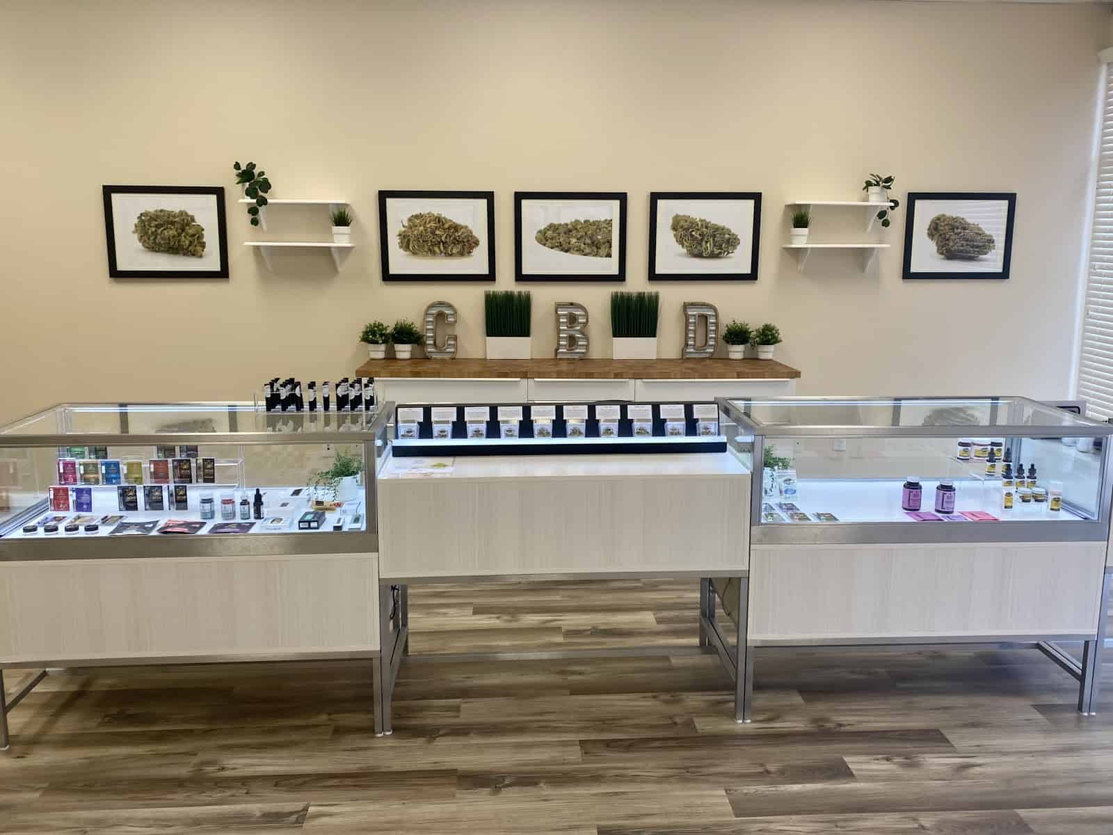 Gallery Image 7