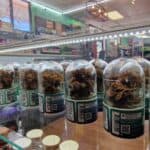 Bastrop Smoke & Vape – gallery image 10