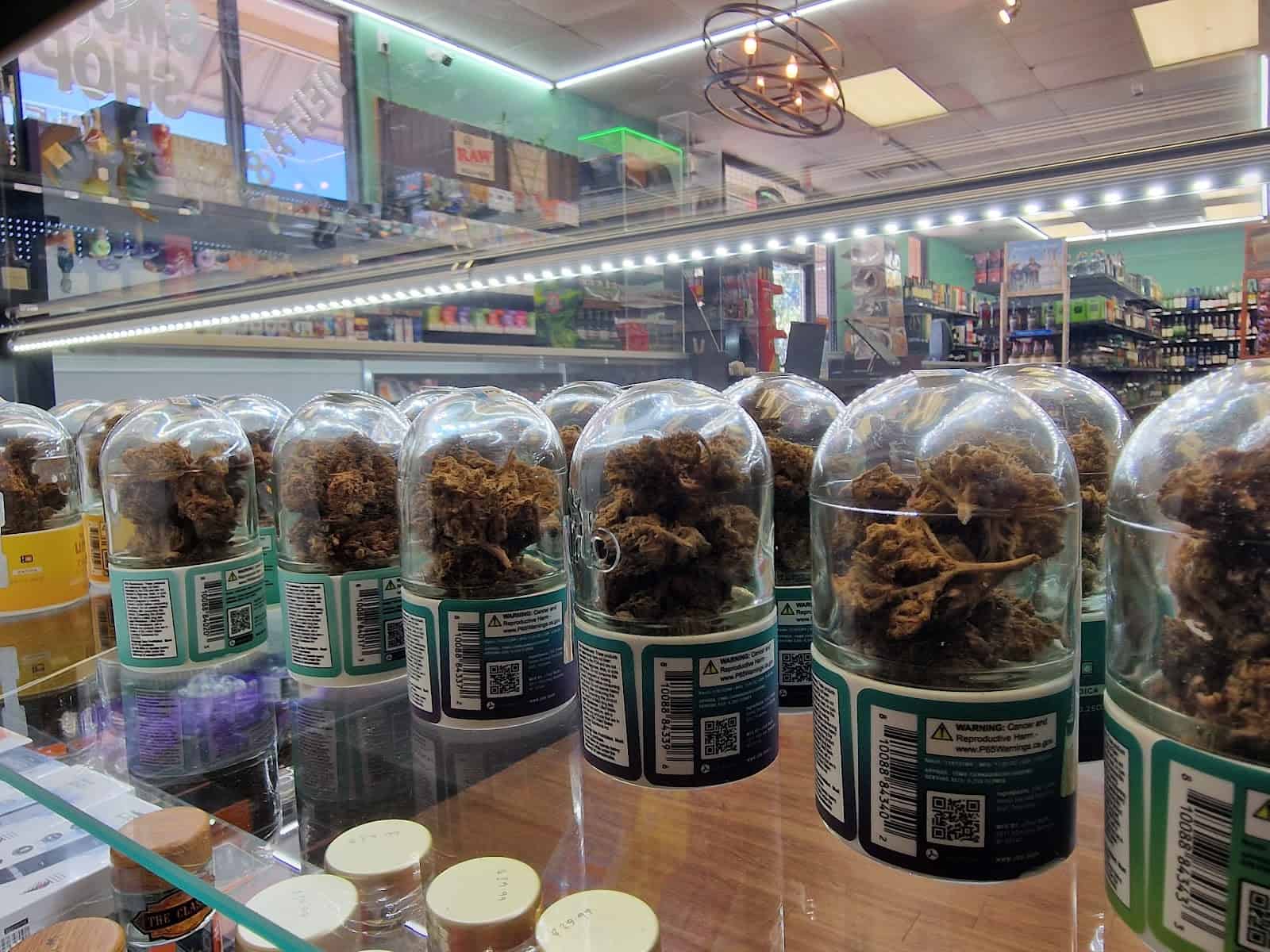 Store – gallery image 10