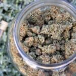 Austinite Cannabis Co. – Austin, TX | Cannabis Shop – gallery image 10